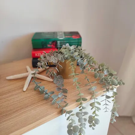 아파트 Relax Oasis Del Mar *